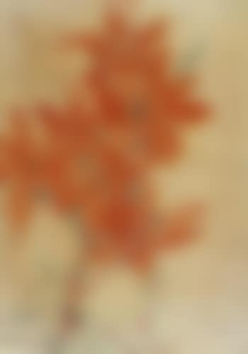 Red Lilies (preview)