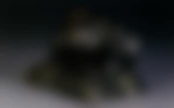 Jaguar accroupi (preview)