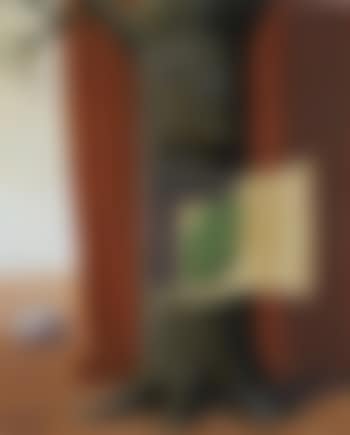 Le Premier Secret (preview)