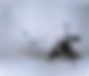 Untitled, Stabile Mobile (preview)