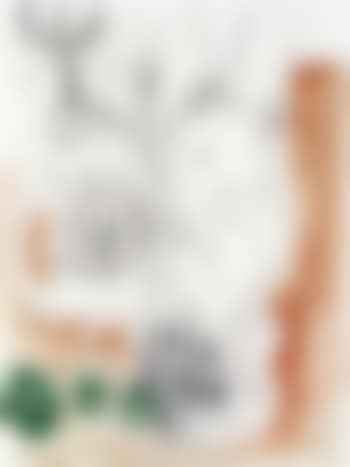 Untitled (preview)