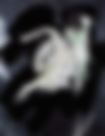 Opus 13-C (preview)