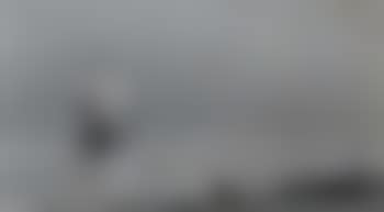 Sailing ship off shore in calm sea (preview)