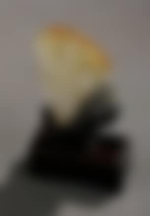 Liuhai and toad (preview)