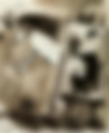 Le chevalet (preview)