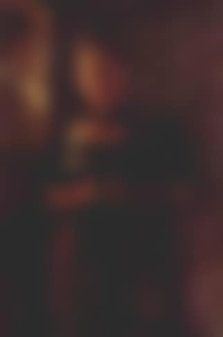 Carnations (preview)