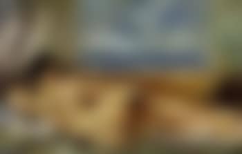 Nu devant un bord de mer (preview)