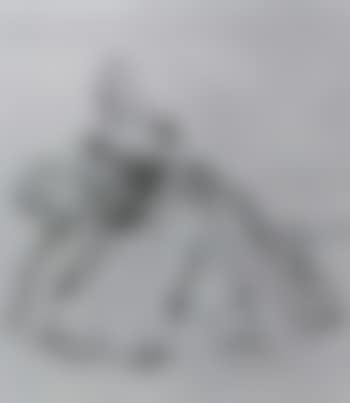 Rosalind (preview)