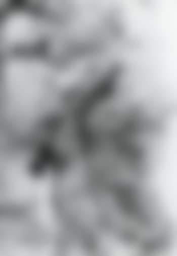 Composition (preview)