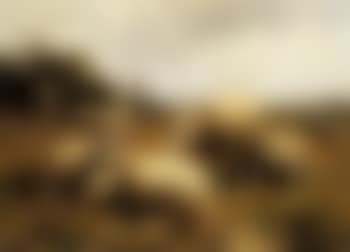 Minding flock (preview)