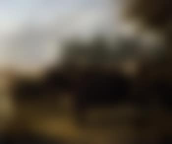 A prize longhorn with a cowherd by Kenilworth castle (preview)