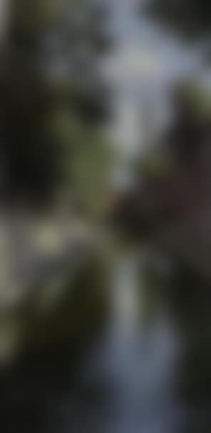 Canal scene (preview)