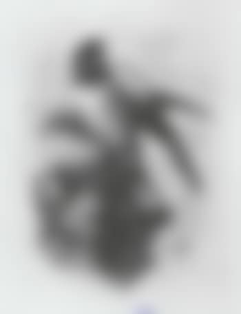 A swallow (preview)