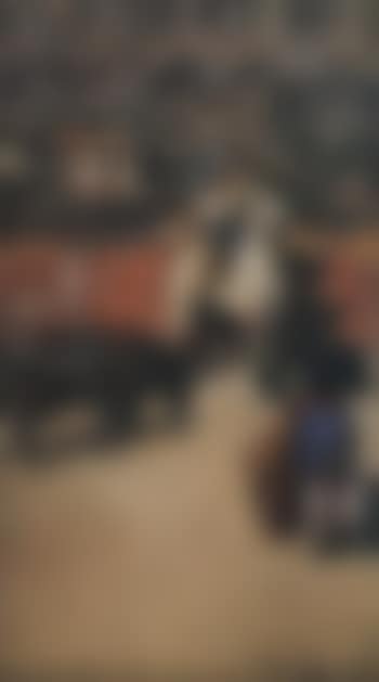 The bull fight (preview)