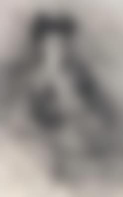 Portrait of Alice Hanford-Flood (preview)