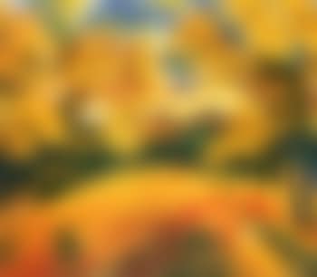 Herbst, baume und dunen - autumn, trees and dunes (preview)