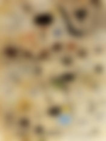 Femmes, oiseau, etoiles (preview)