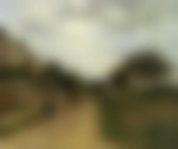 La route bordee d'arbres (preview)
