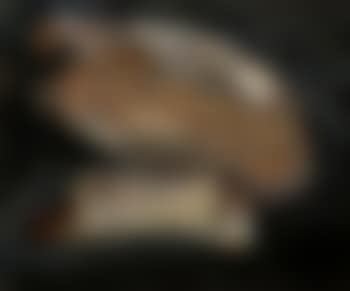 Oie plumee (preview)