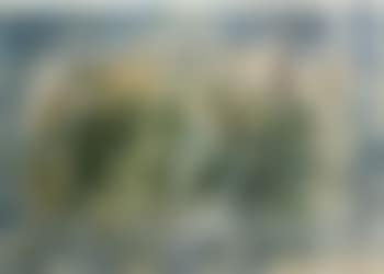 Paysage (preview)