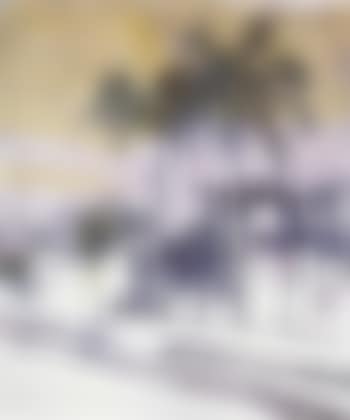 Palmen (preview)