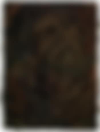 Head of Seedo II (preview)