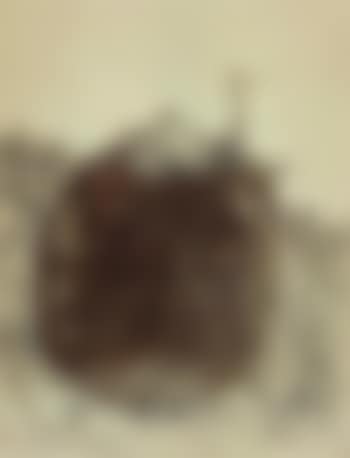 Peitschenfrau (preview)