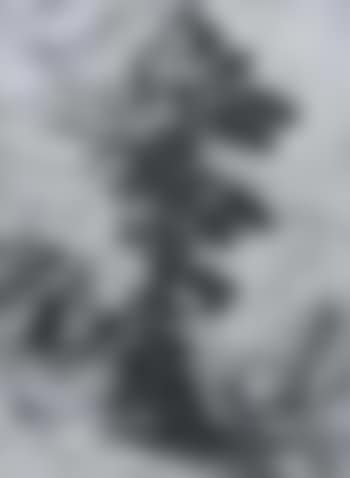 Landscape with a tree (preview)