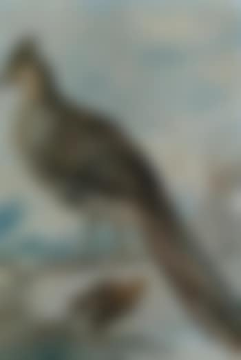 Exotic hen pheasant and two chicks in a landscape (preview)