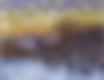 Tree in winter (preview)
