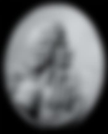 Large nef (preview)