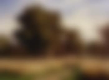 Die Schellenmatt im Sommer (preview)