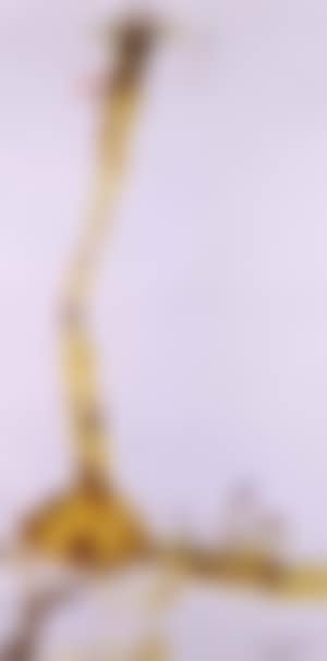 Giraffes, Kenya (preview)