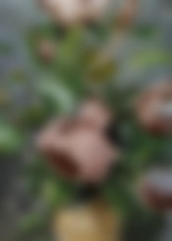 Vase de fleurs (preview)