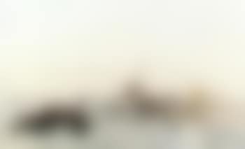 Venice (preview)