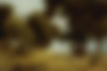 Pastoral landscape (preview)