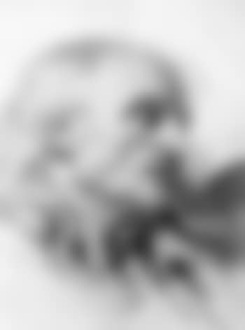 Head of old man (preview)