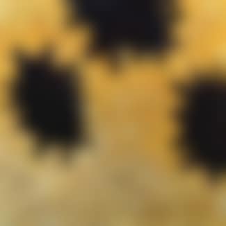 Untitled (preview)