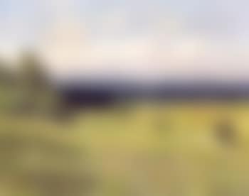 Summer in Mecklenburg (preview)