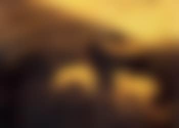 Sheep resting in landscape (preview)