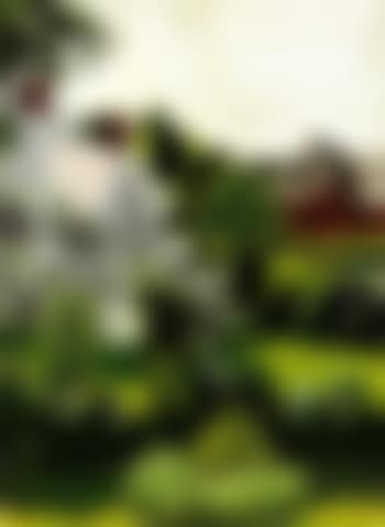 Midsummer (preview)