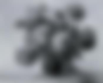 Still life with hydrangeas (preview)