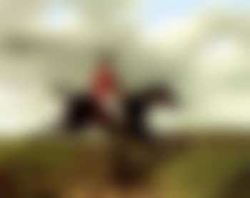 Over the fence (preview)
