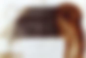 Blick im Kreuz (preview)