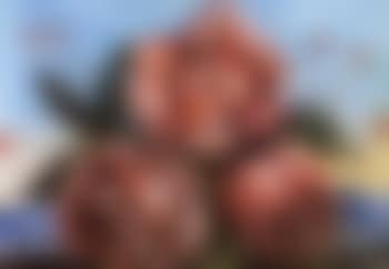 Roses (preview)
