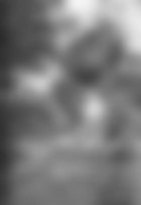 Hors Concurs (preview)
