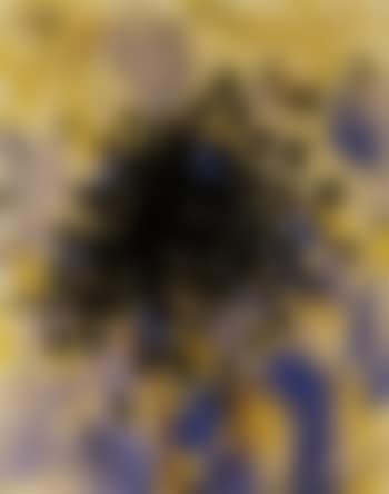 Black berries (preview)