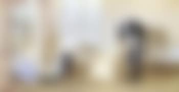 Vue interieure de la Hofburg avec le Grand Duc de Toscane (preview)