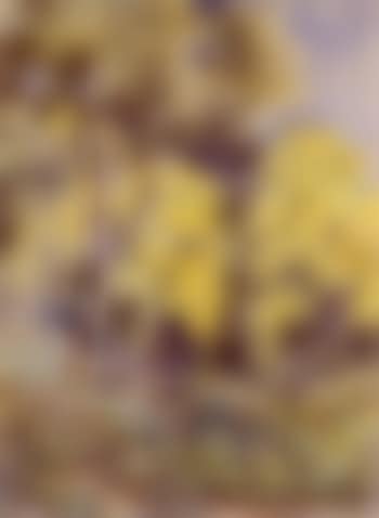 Bush scene (preview)