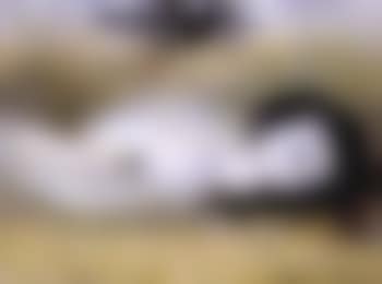 Nude in wheatfield (preview)